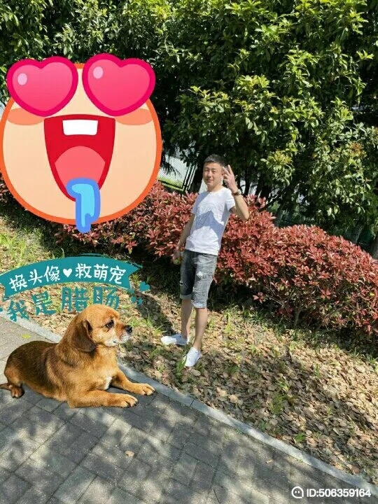 我若不坚强谁替我勇敢的第一张照片--合肥父母相亲团